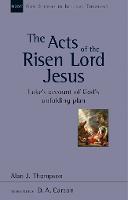 Acts of the Risen Lord Jesus, The: Luke'S Account Of God'S Unfolding Plan